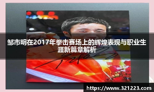 邹市明在2017年拳击赛场上的辉煌表现与职业生涯新篇章解析